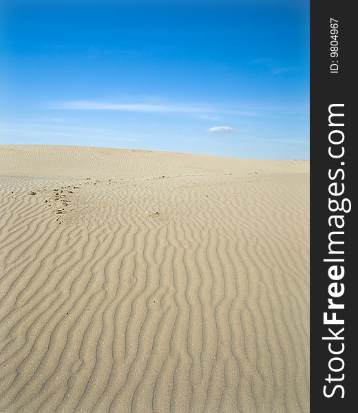 Desert landscape in the Sahara. Desert landscape in the Sahara