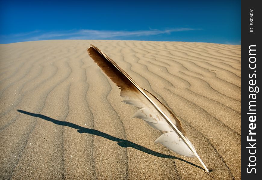 Desert landscape in the Sahara. Desert landscape in the Sahara