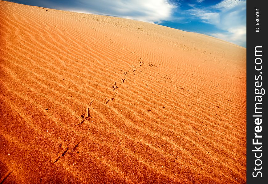 Desert landscape in the Sahara. Desert landscape in the Sahara