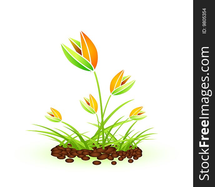 Vector illustration of beautiful plant