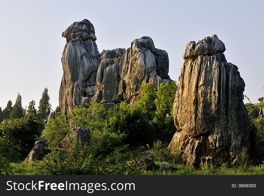 Shilin, Yunnan, China is located in the hinterland east plateau, is the essence of the world karst. Shilin Karst landscape in the main to hung, extraordinary and dangerous, Sau, quiet, Austria, open with the world's most unique karst (karst) landscape, to form a long history, the type of complete, large-scale, development of integrity, known as the best in the world wonders, modeling natural landform Museum, to the academic reputation in the world. Stone Forest was formed 2.7 billion years ago, the development by the long and complex geological evolution and palaeogeography of the changes taking place before the formation of the present-day geological remains extremely valuable. Shilin, Yunnan, China is located in the hinterland east plateau, is the essence of the world karst. Shilin Karst landscape in the main to hung, extraordinary and dangerous, Sau, quiet, Austria, open with the world's most unique karst (karst) landscape, to form a long history, the type of complete, large-scale, development of integrity, known as the best in the world wonders, modeling natural landform Museum, to the academic reputation in the world. Stone Forest was formed 2.7 billion years ago, the development by the long and complex geological evolution and palaeogeography of the changes taking place before the formation of the present-day geological remains extremely valuable.