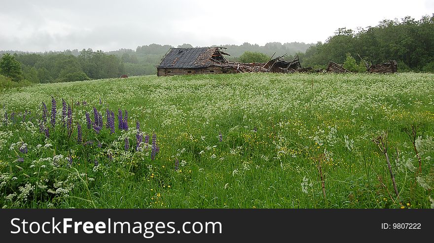 Country Landscape