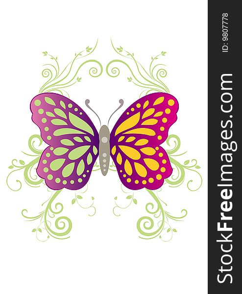 the white background of flowers and butterflies. the white background of flowers and butterflies