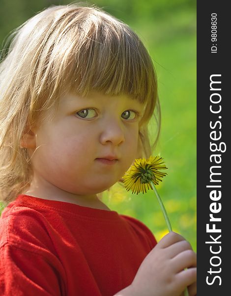 Close-up of a boy 2,5 years, holding dandelion standing in a spring field. Close-up of a boy 2,5 years, holding dandelion standing in a spring field