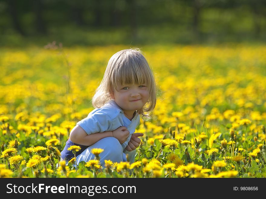 Boy 2,5 years, with long hair, sitting in a dandelion field. Boy 2,5 years, with long hair, sitting in a dandelion field