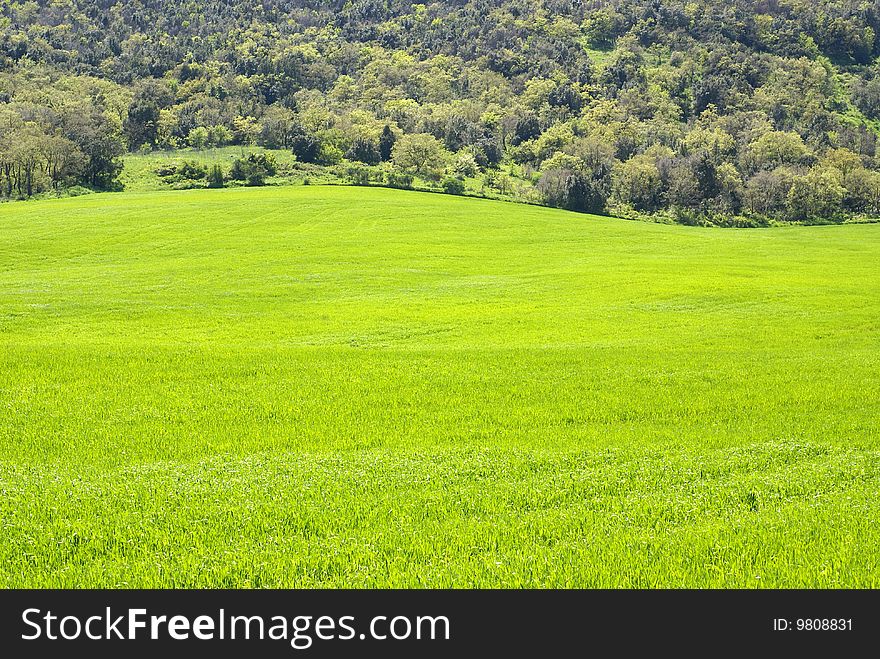 Green valley in sicilian hills - Italy  landscape. Green valley in sicilian hills - Italy  landscape