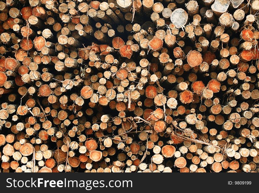 Cut logs stacked for industries. Cut logs stacked for industries