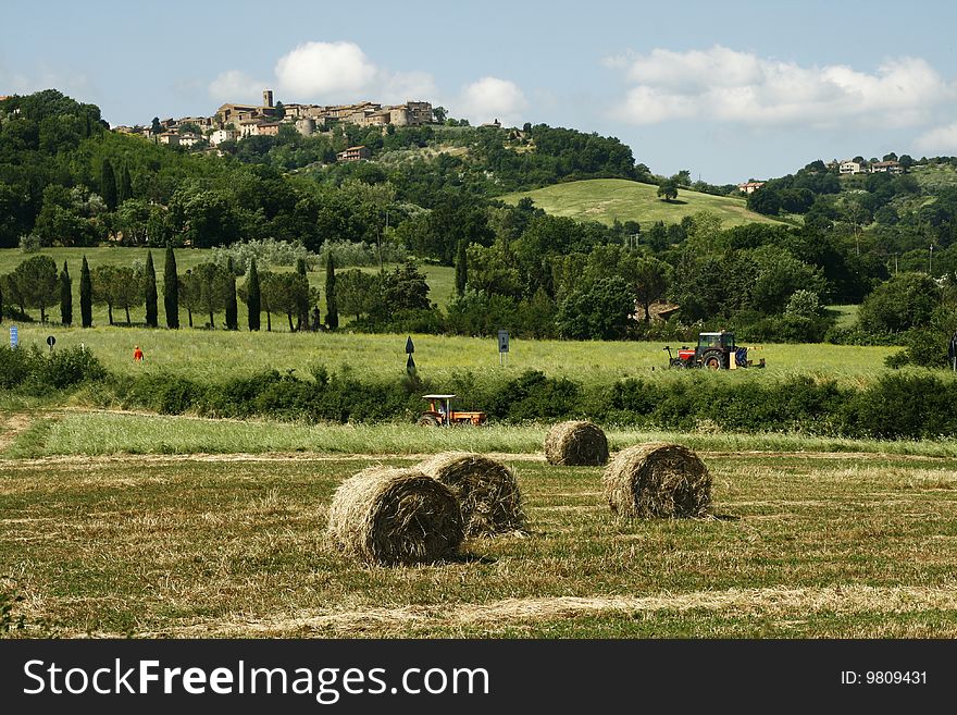 Some Hay bales on a meadow in Tuscany in italy. Some Hay bales on a meadow in Tuscany in italy