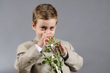 Boy Smelling Stock Photo