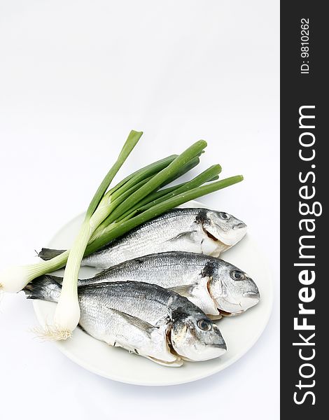 Fresh seabream