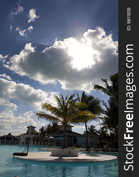 Swimming-pool with palm trees over blue sunny sky. Swimming-pool with palm trees over blue sunny sky