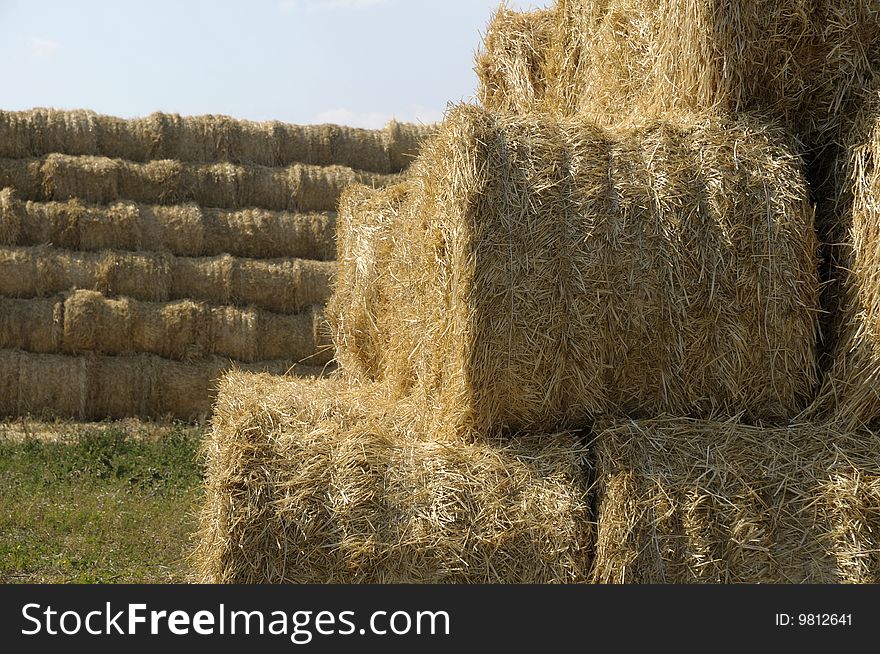 Straw sheaves in front of straw stack