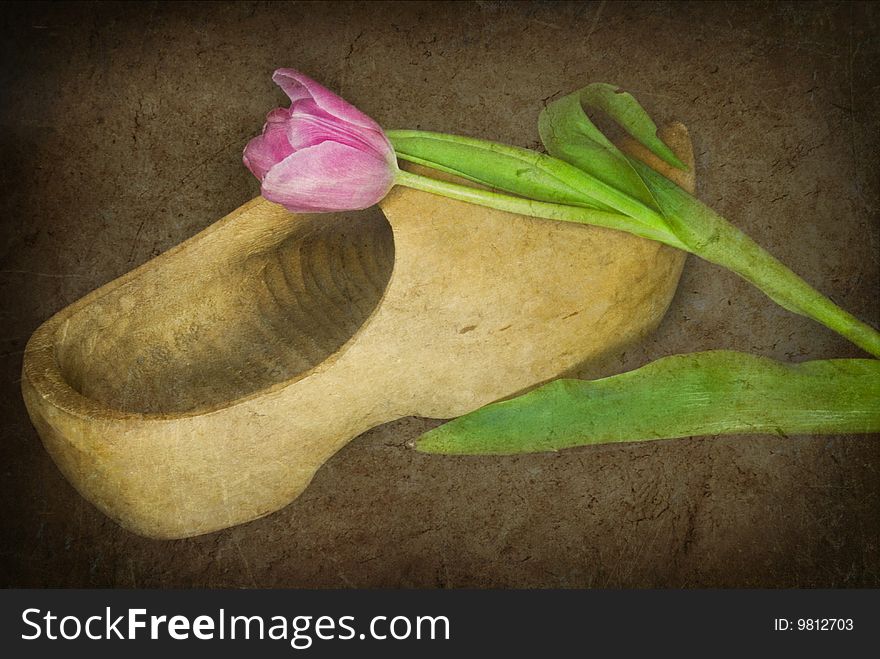 Single tulip on a wooden shoe in texture. Single tulip on a wooden shoe in texture.