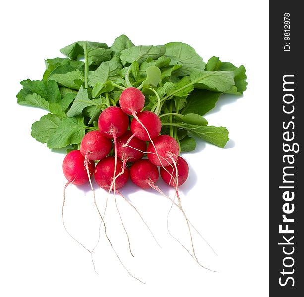 Bunch of ripe radish, isolated on white. Bunch of ripe radish, isolated on white