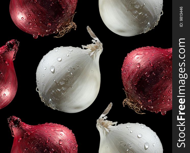 Red and white onions with water drops