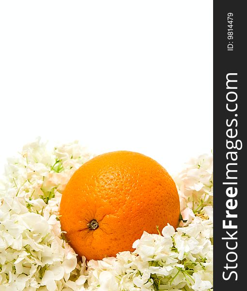 Orange and flowers isolated on white