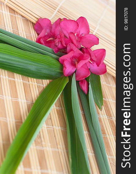 Beautiful vacations (oleander flowers and bamboo leaves set on bamboo mats)