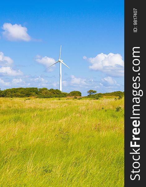 Green lawn and a windturbine