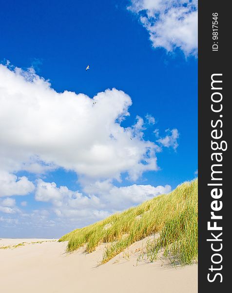 North sea beach with cloudy sky