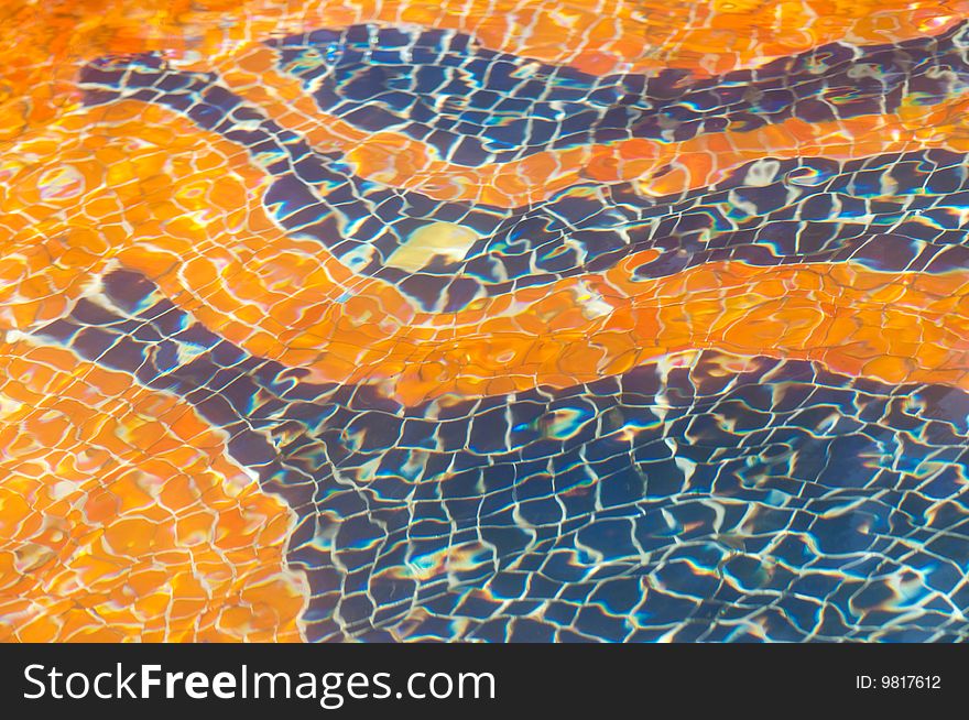 Orange And Blue Swimming Pool