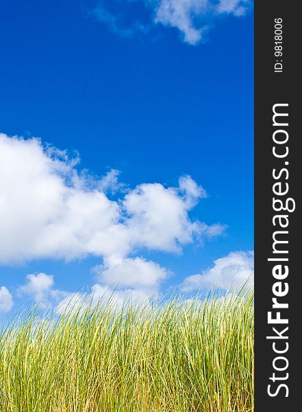 Green lawn with blue sky