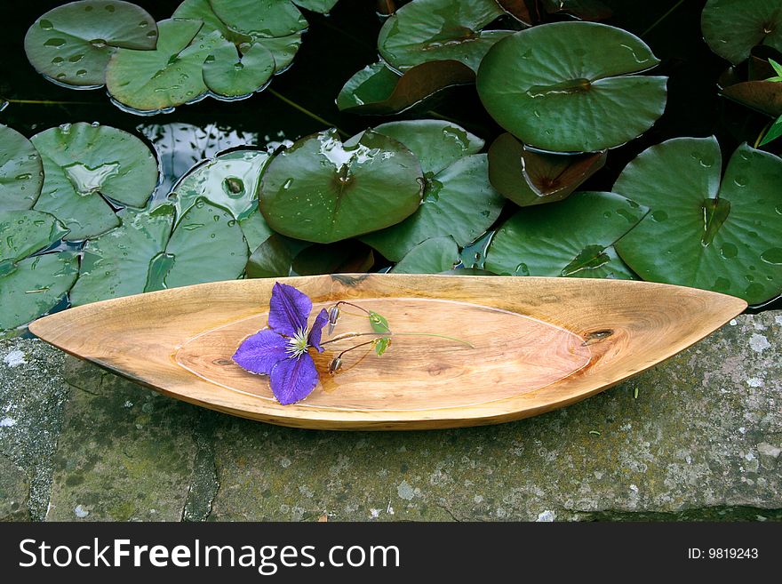 Arrangement with wooden bowl, exotic flower at a lagoon bank. Arrangement with wooden bowl, exotic flower at a lagoon bank