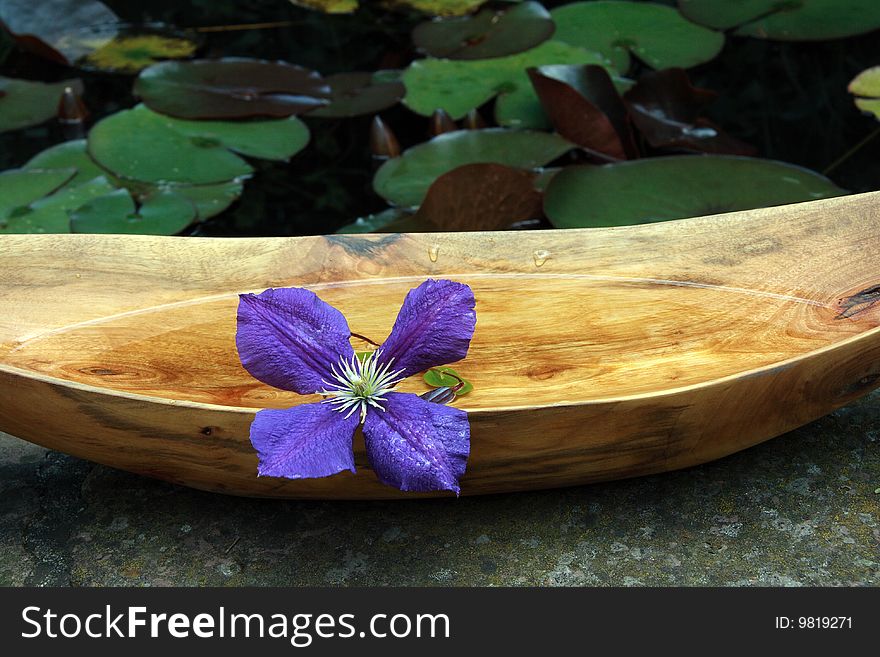 Arrangement with wooden bowl, exotic flower at a lagoon bank. Arrangement with wooden bowl, exotic flower at a lagoon bank