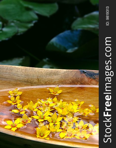 Arrangement with wooden bowl, exotic florets at a lagoon bank. Arrangement with wooden bowl, exotic florets at a lagoon bank