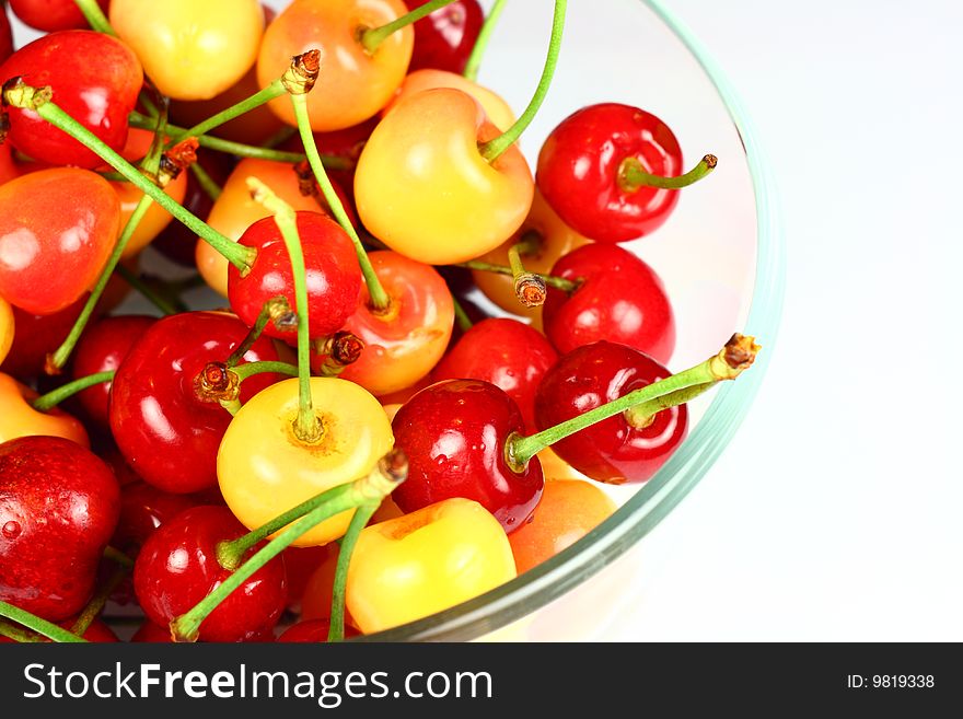 This photo was shot in the orchard,the fresh cherry was picked just now.