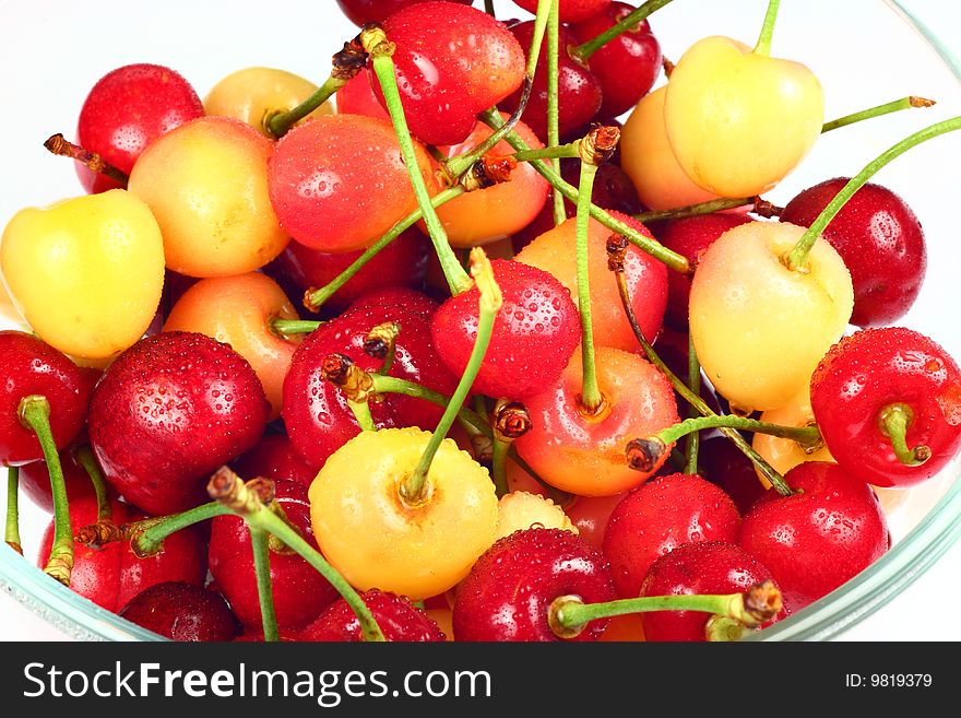 This photo was shot in the orchard,the fresh cherry was picked just now.