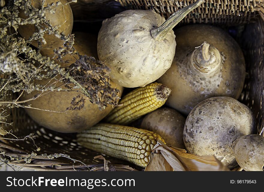 Corn and pumpkins in a traditional basket, vegetable detail, healthy food