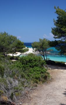 Tropical Scene Of Seashore Stock Photo