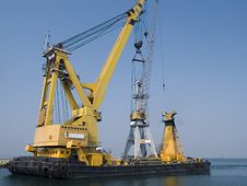 Swimming Crane Stock Photo Swimming Crane Stock Photo