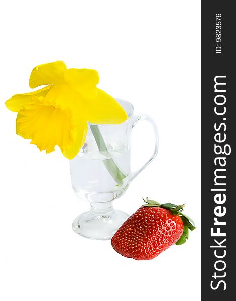 Isolated daffodil in a glass and red strawberry. Isolated daffodil in a glass and red strawberry