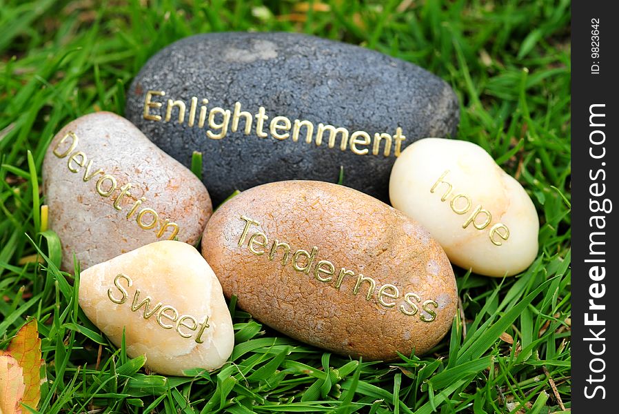 Stones with conceptual words in the green grass. Stones with conceptual words in the green grass