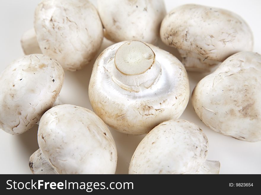 A closeup of few portabello mushrooms isolated on a white background with a natural shadow