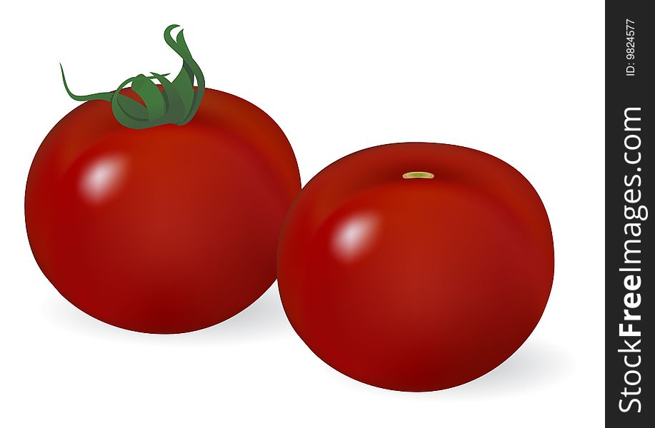 Two tomatoes vegetables. Vector illustration