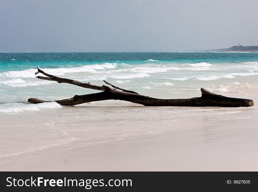 Tulum white beach in mexico, yucatan