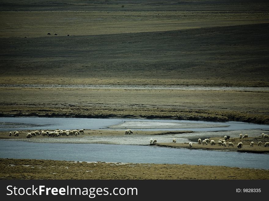 Beautiful landdscape in tibet, china. Beautiful landdscape in tibet, china