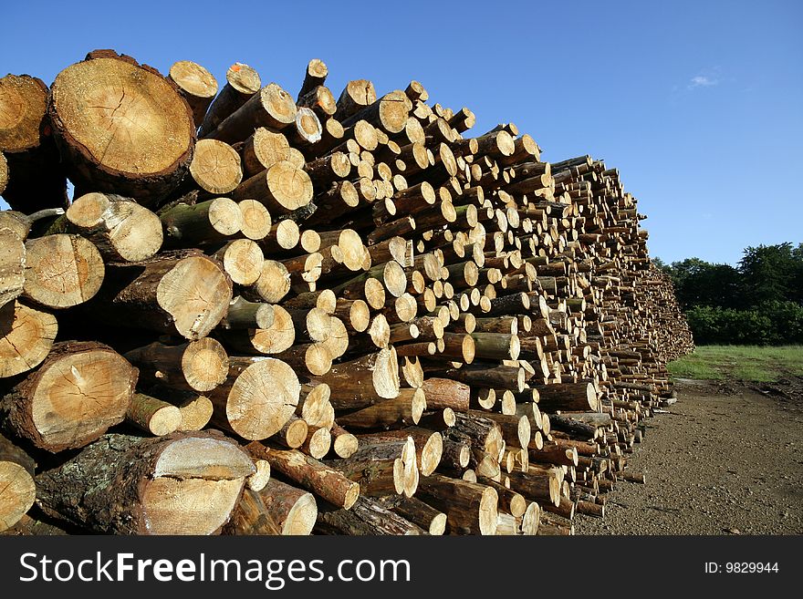 Stack of chopped wood on a wood yard in Upper Silesia, Poland. Pine trees. Stack of chopped wood on a wood yard in Upper Silesia, Poland. Pine trees.