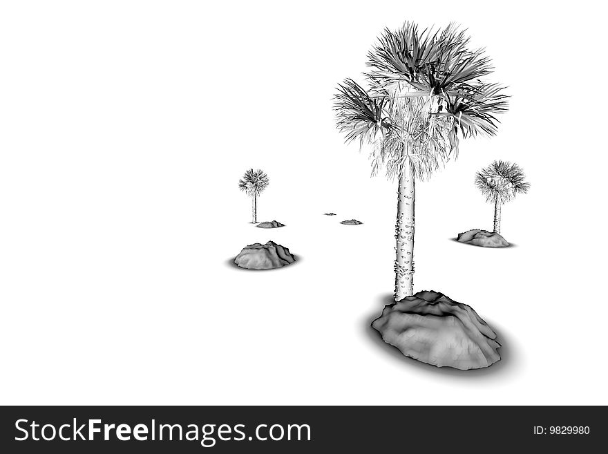 Tropical Tree in black and white on white background isolated