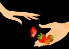Hand Gives A Strawberry Royalty Free Stock Photo Hand Gives A Strawberry Royalty Free Stock Photo