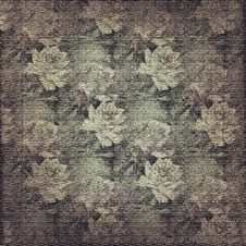 Last Year S Flowers Royalty Free Stock Photos Last Year S Flowers Royalty Free Stock Photos