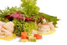 Prawn Salad Royalty Free Stock Image