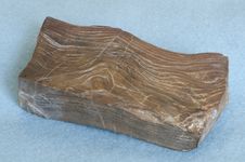 Dark Brown Petrified Wood Royalty Free Stock Image Dark Brown Petrified Wood Royalty Free Stock Image