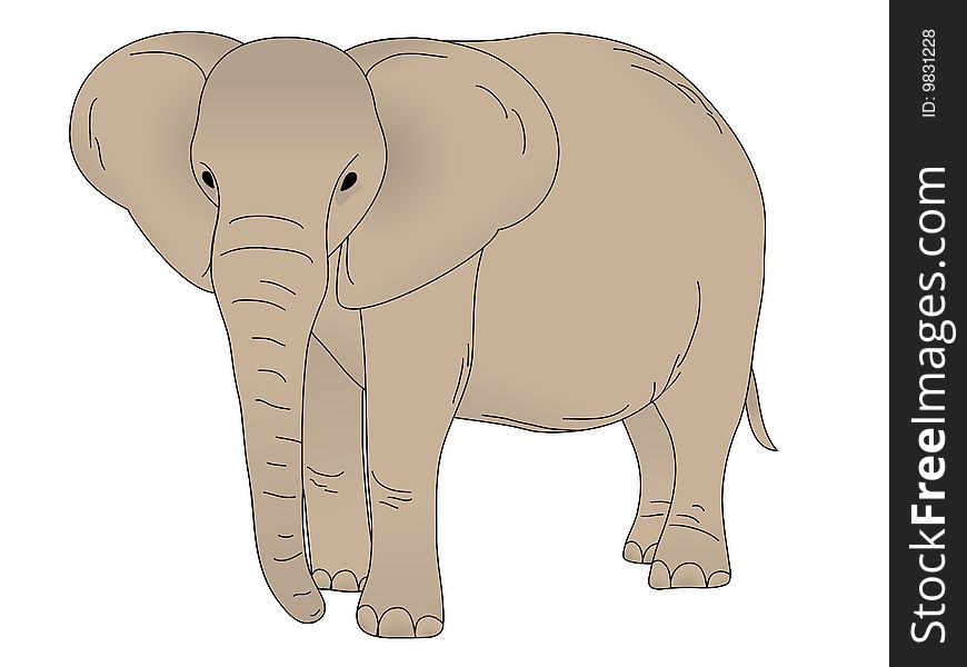 Elephant