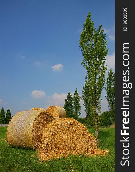 Bale of straw photographed in the early summer sun on a commercial acre with trees and blue sky with some clouds as background