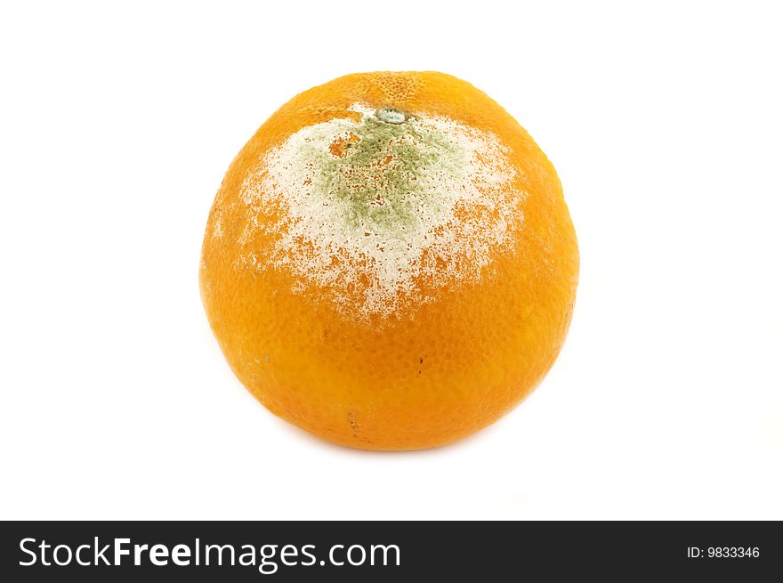 Close-up of a rotten orange isolated on white