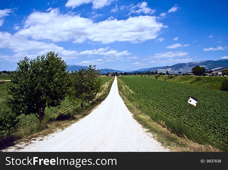 Dirt Road In Italy