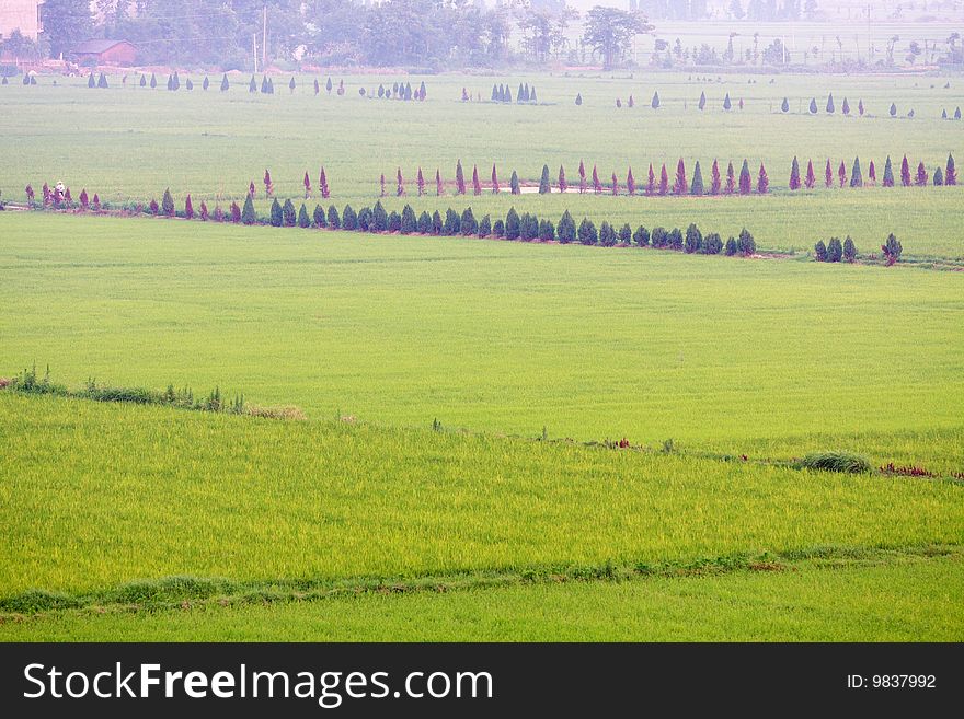 This is a great stretch of open field. This is a great stretch of open field